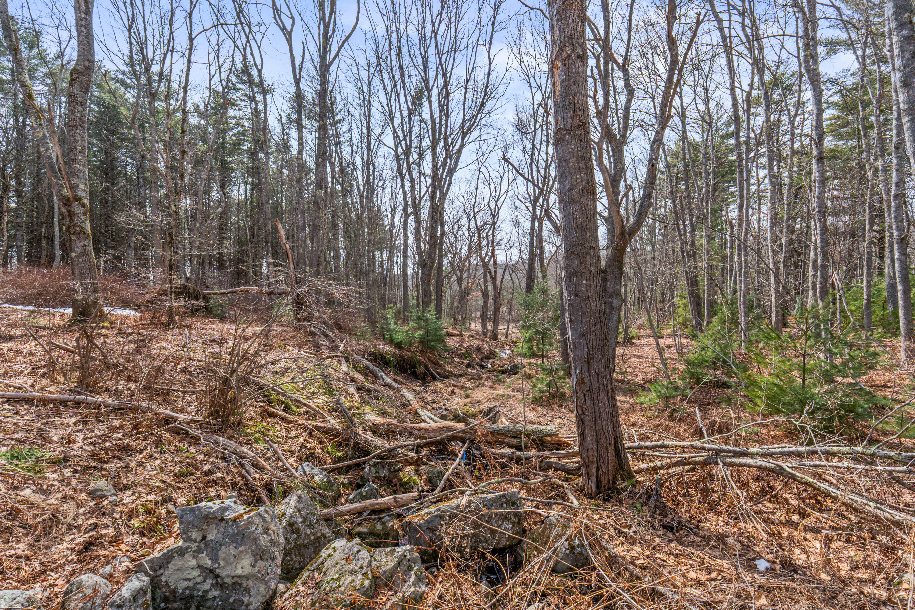 Lot 7-1 Captain John Parker Road Phippsburg ME 04562