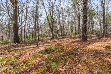 Lot 7-1 Captain John Parker Road Phippsburg ME 04562