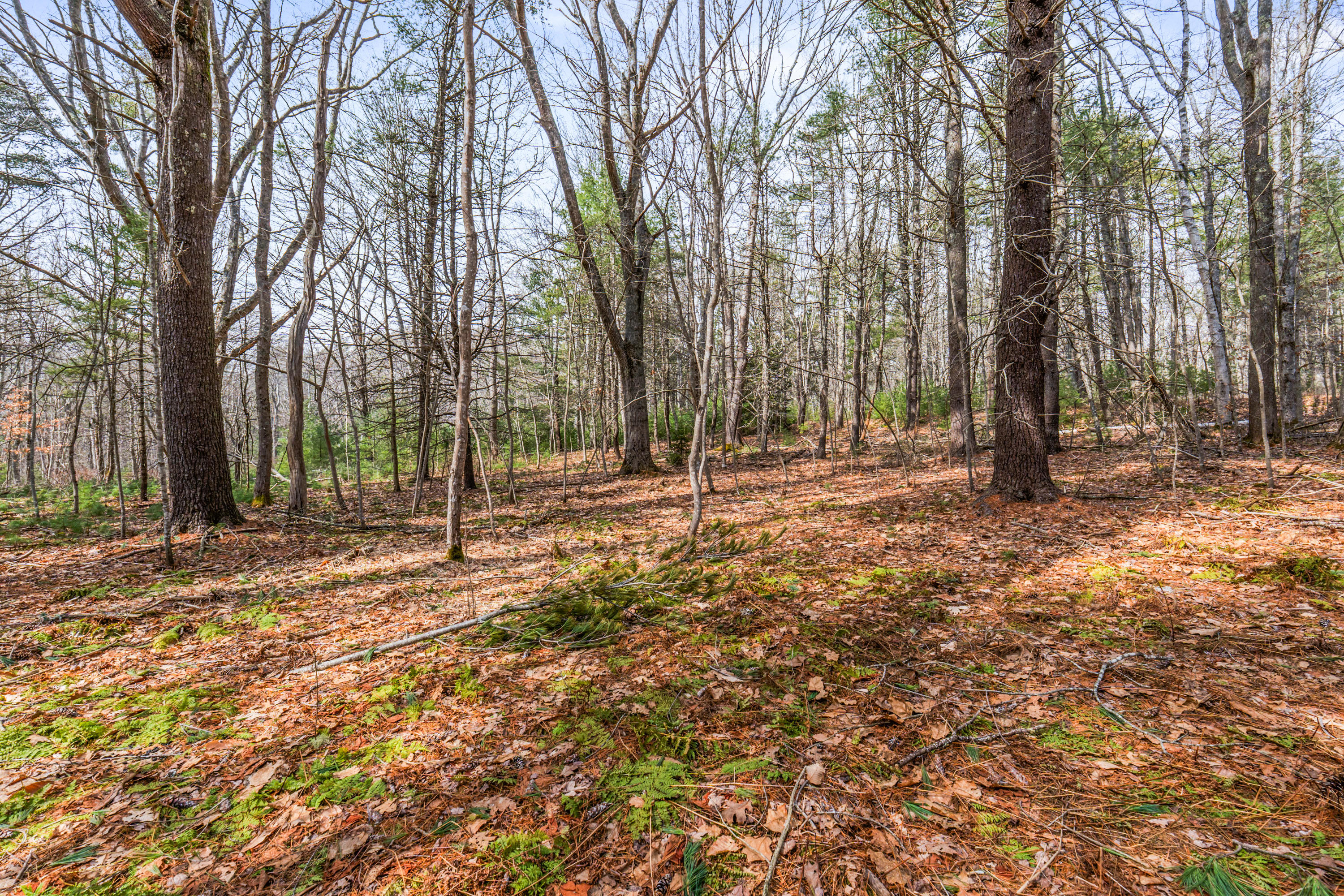 Lot 7-1 Captain John Parker Road Phippsburg ME 04562