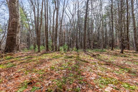 Lot 7-1 Captain John Parker Road Phippsburg ME 04562