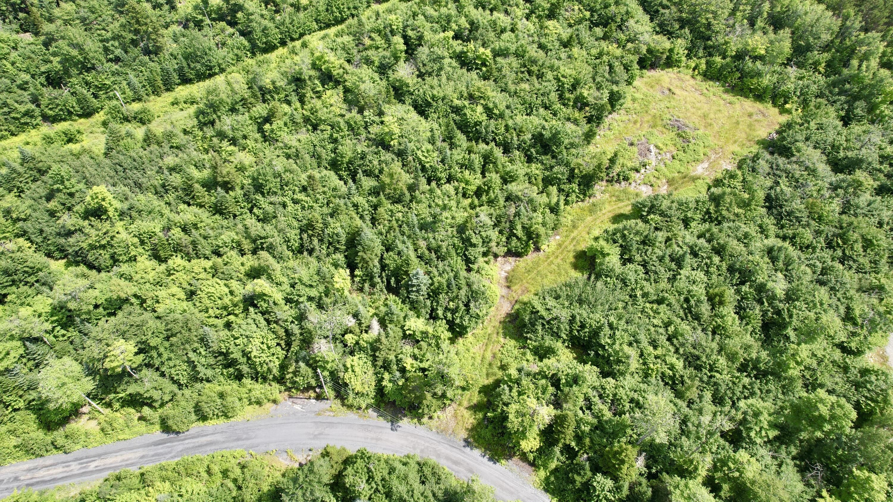 42 Black Bear Lane Greenville ME 04441