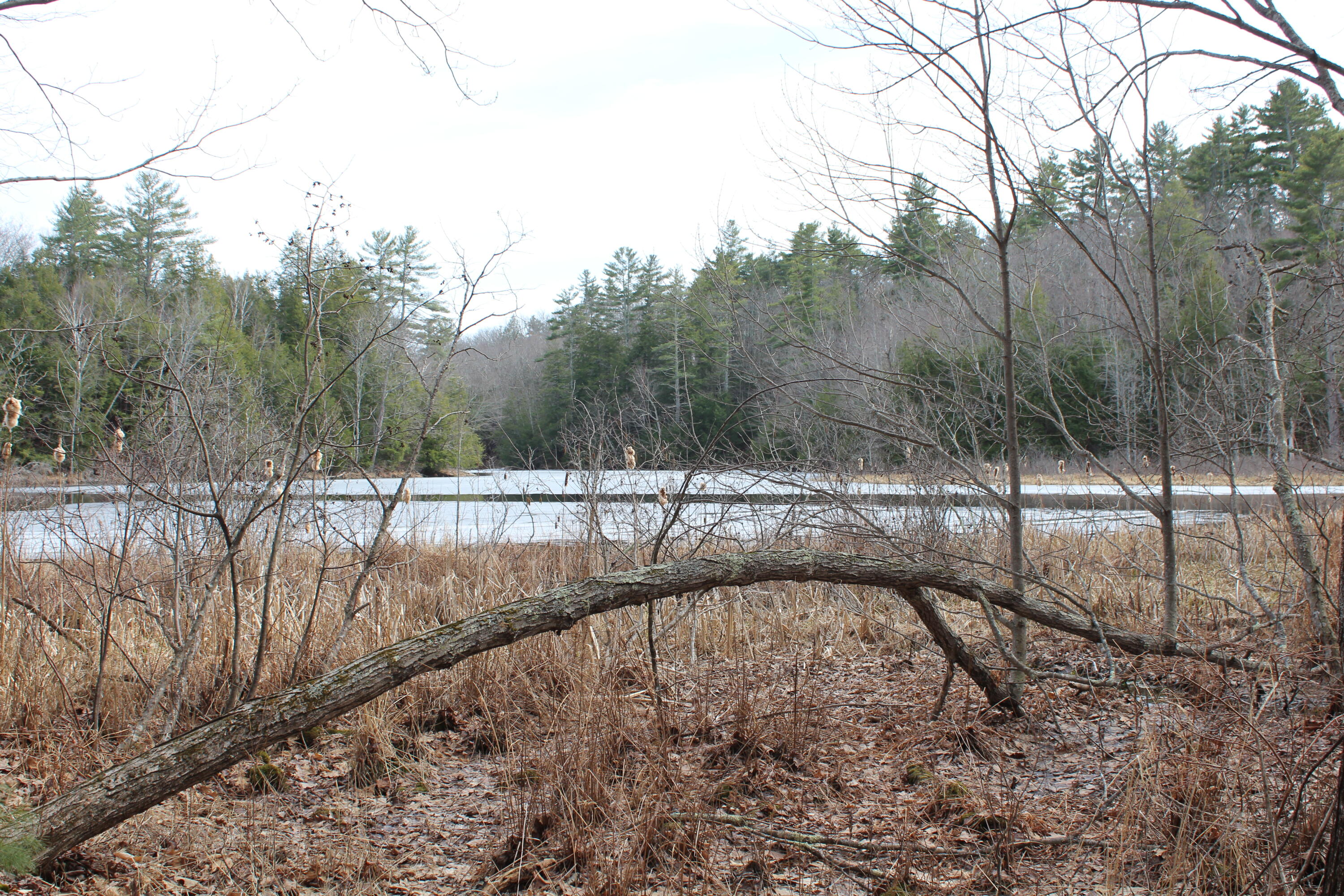 Lot 00a Knight Farm Road Kennebunk ME 04043