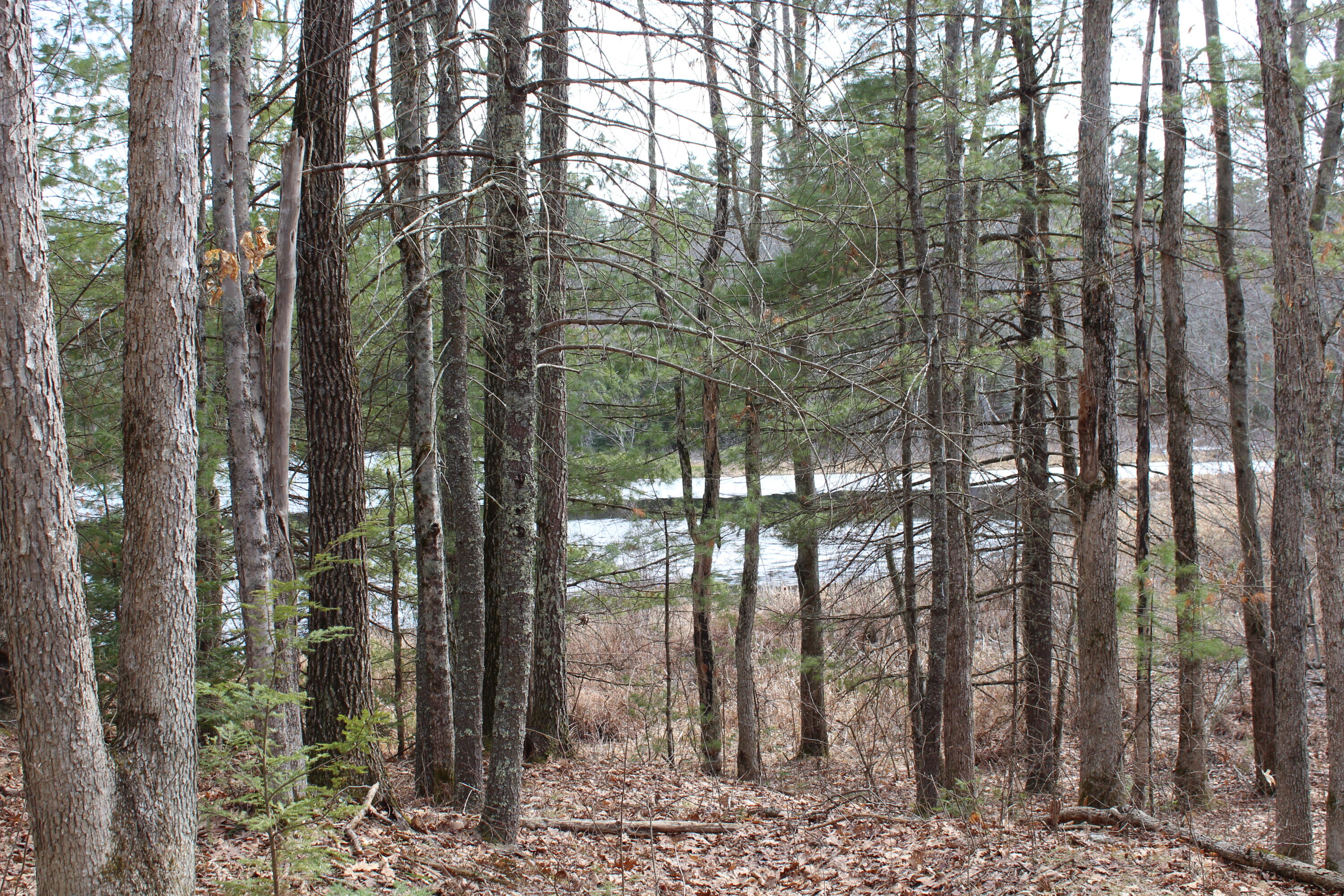 Lot 00a Knight Farm Road Kennebunk ME 04043