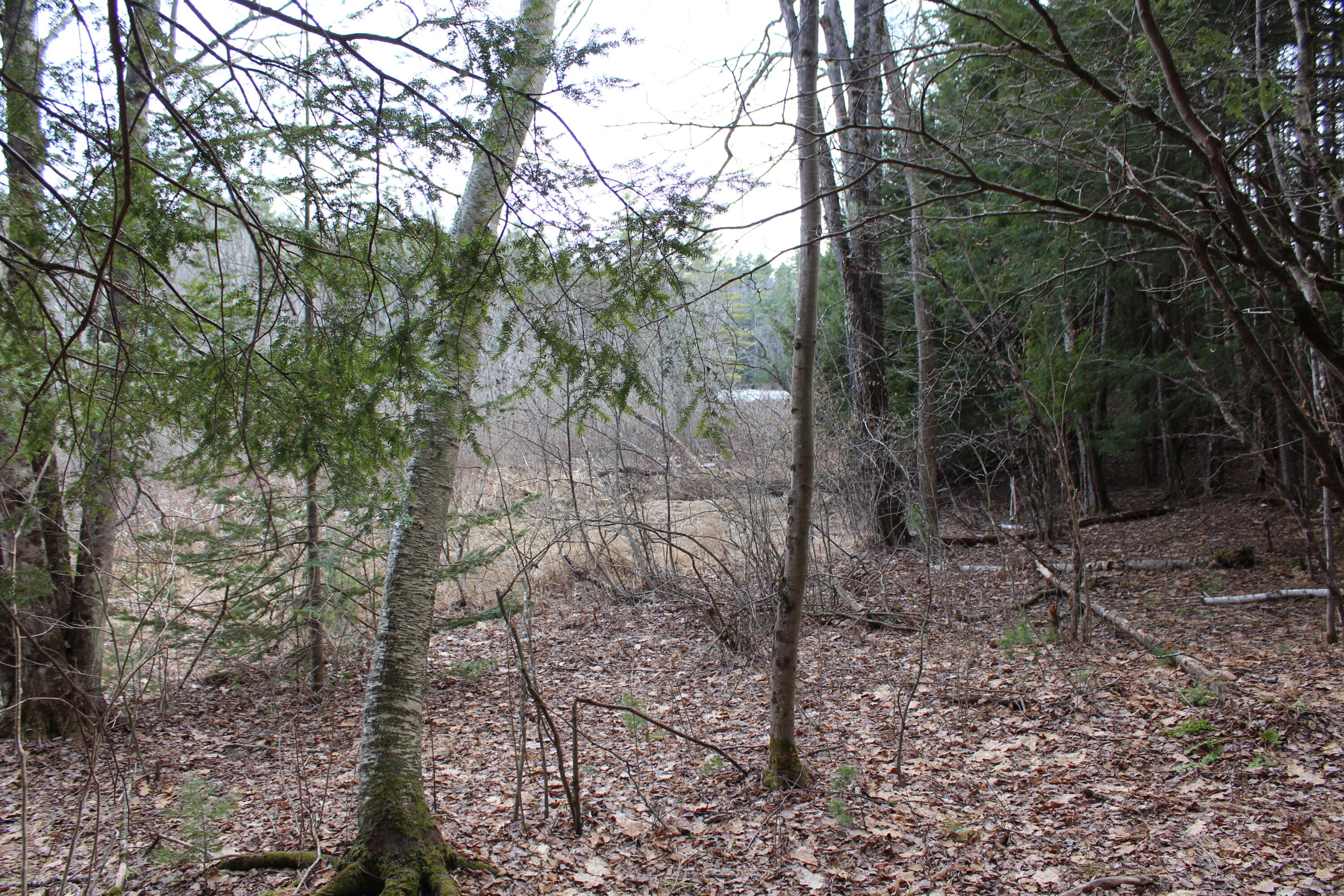Lot 00a Knight Farm Road Kennebunk ME 04043