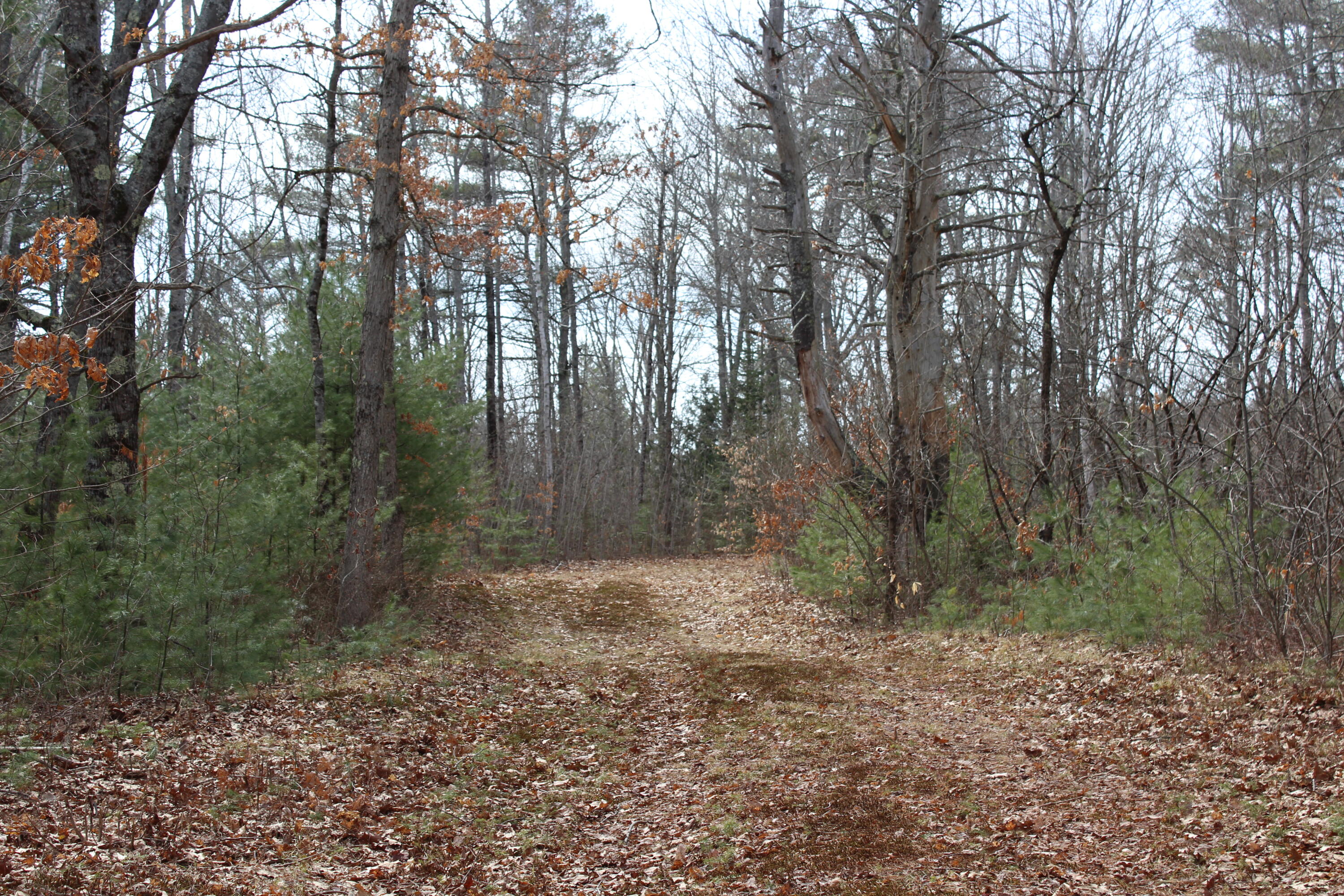Lot 00a Knight Farm Road Kennebunk ME 04043