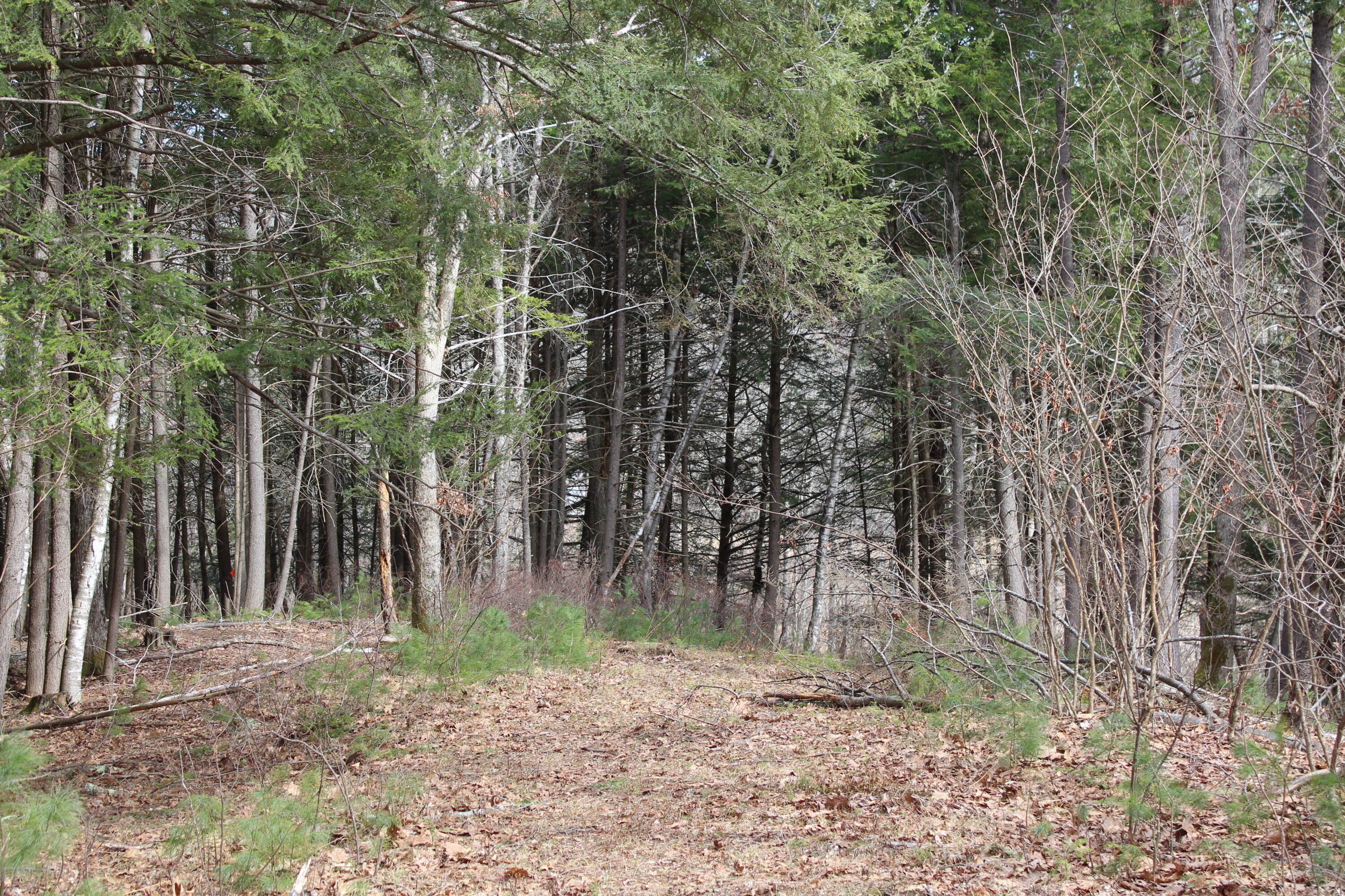 Lot 00a Knight Farm Road Kennebunk ME 04043