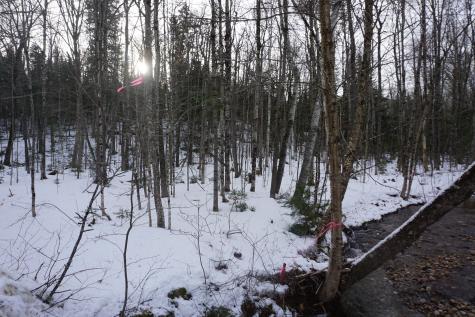 M13L18A-1 Redding Road Woodstock ME 04219