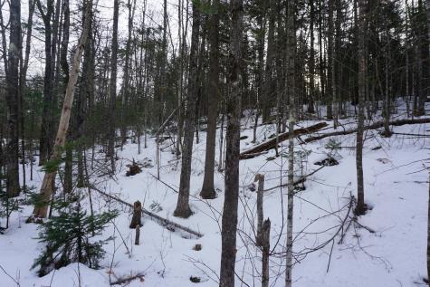 M13L18A-1 Redding Road Woodstock ME 04219