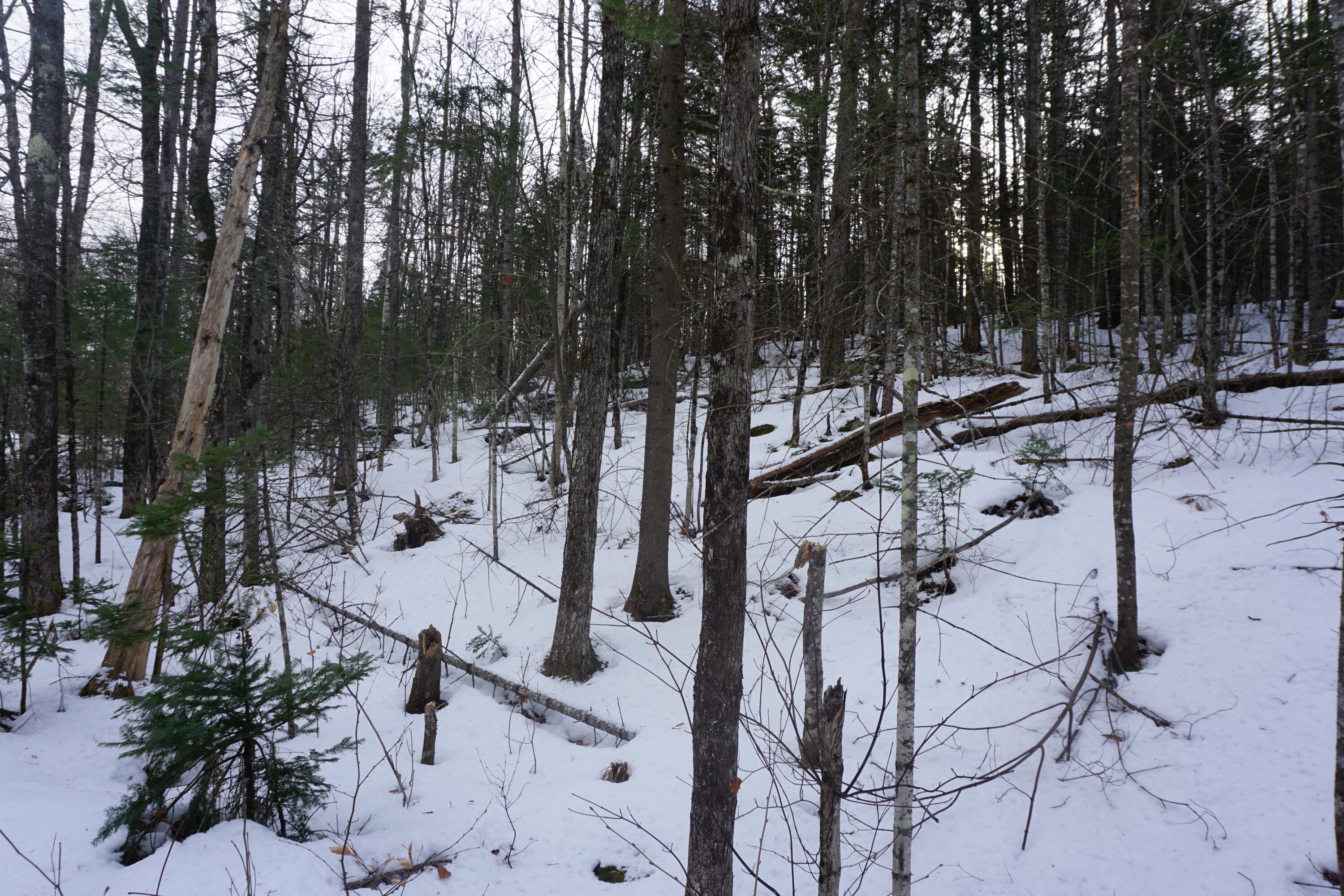 M13L18A-1 Redding Road Woodstock ME 04219