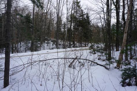 M13L18A-1 Redding Road Woodstock ME 04219