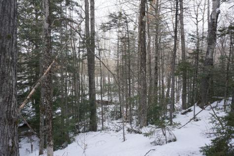M13L18A-1 Redding Road Woodstock ME 04219