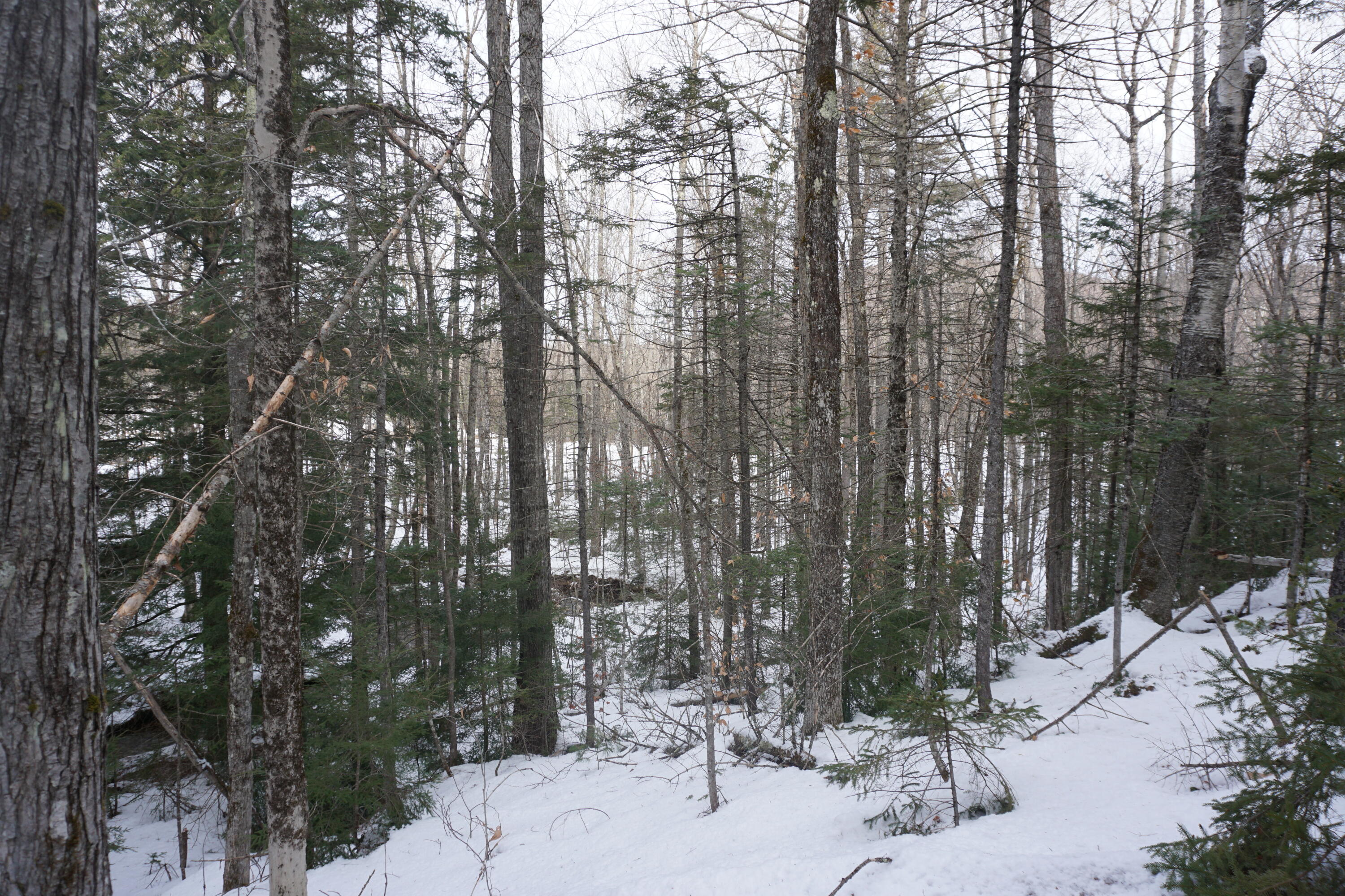 M13L18A-1 Redding Road Woodstock ME 04219