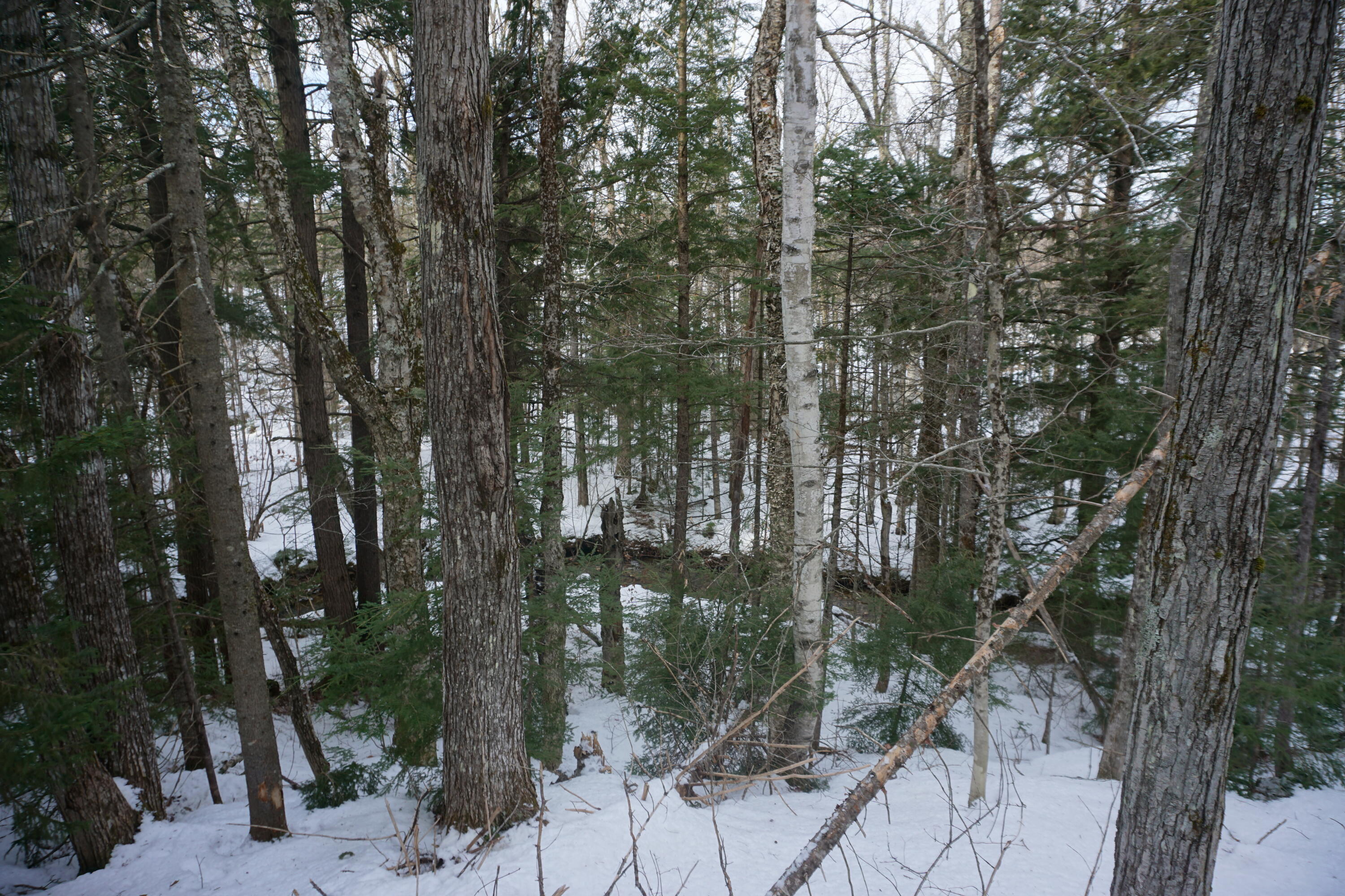 M13L18A-1 Redding Road Woodstock ME 04219