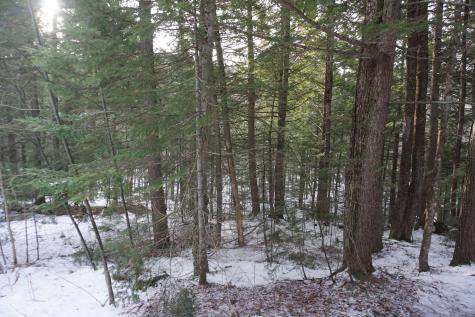 M13L18A-1 Redding Road Woodstock ME 04219