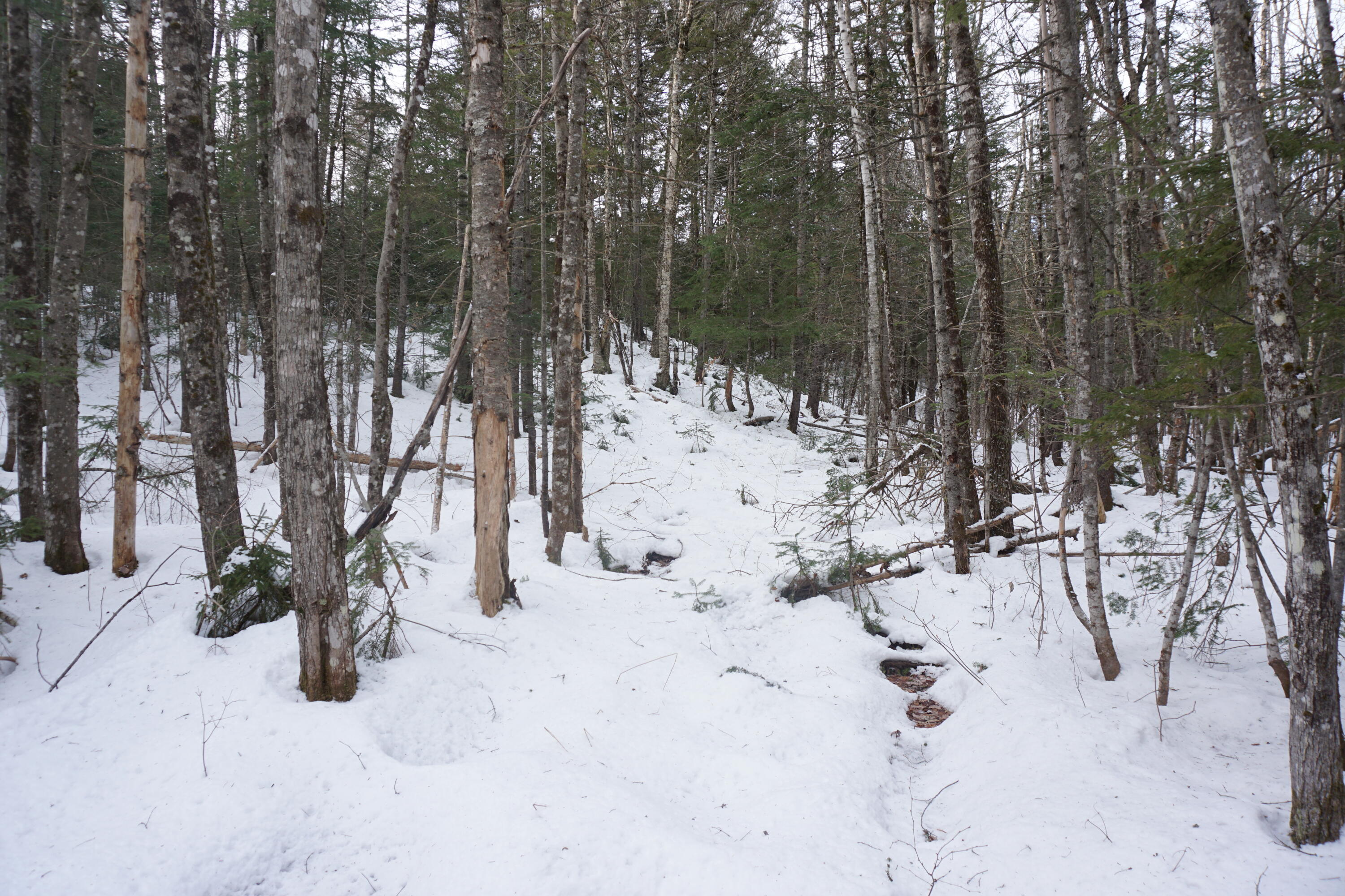M13L18A-1 Redding Road Woodstock ME 04219