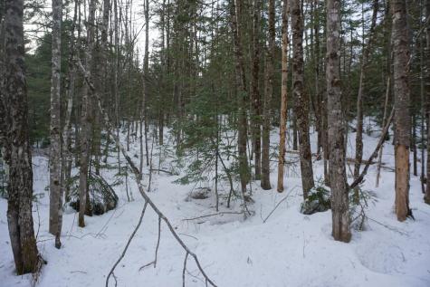 M13L18A-1 Redding Road Woodstock ME 04219