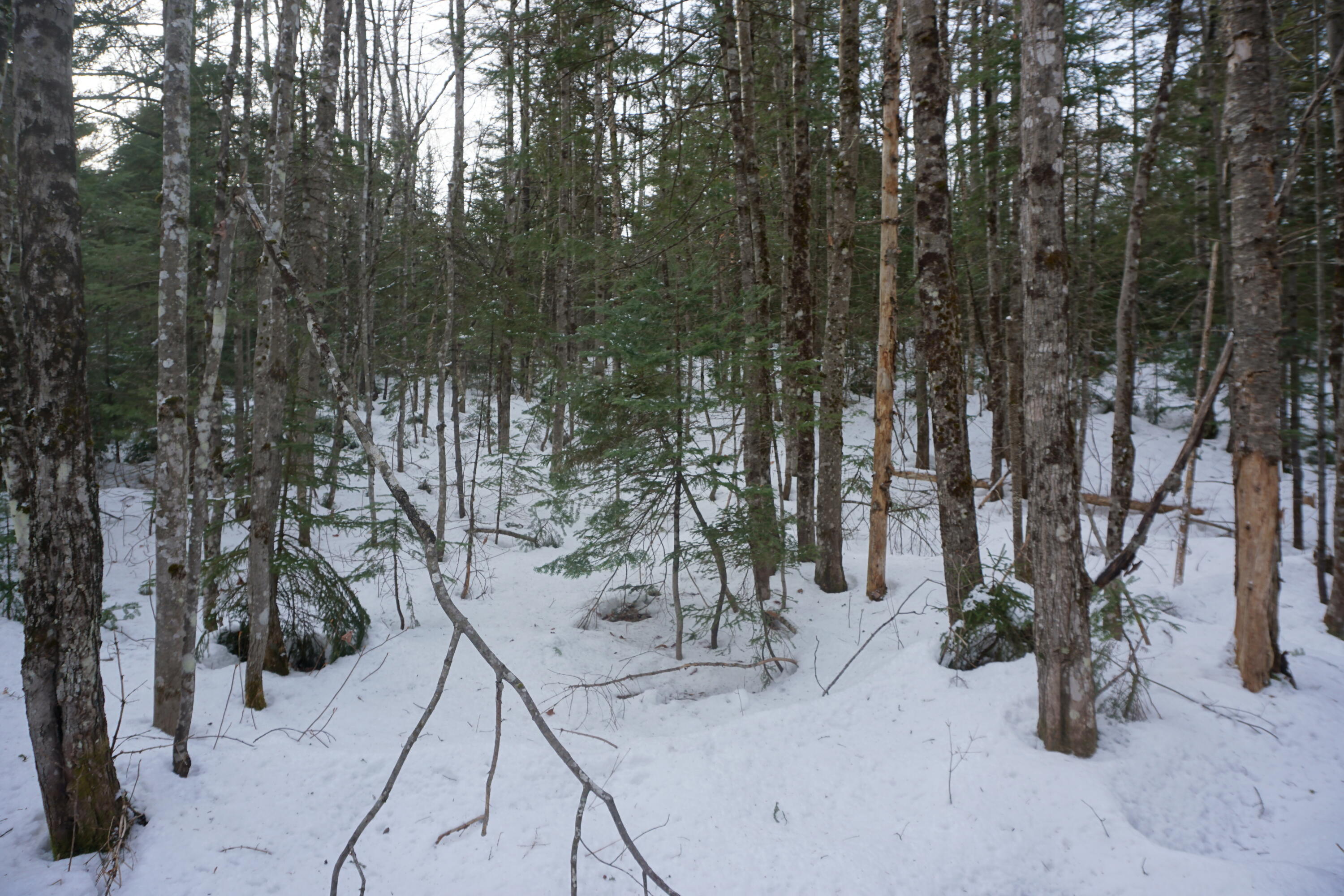 M13L18A-1 Redding Road Woodstock ME 04219