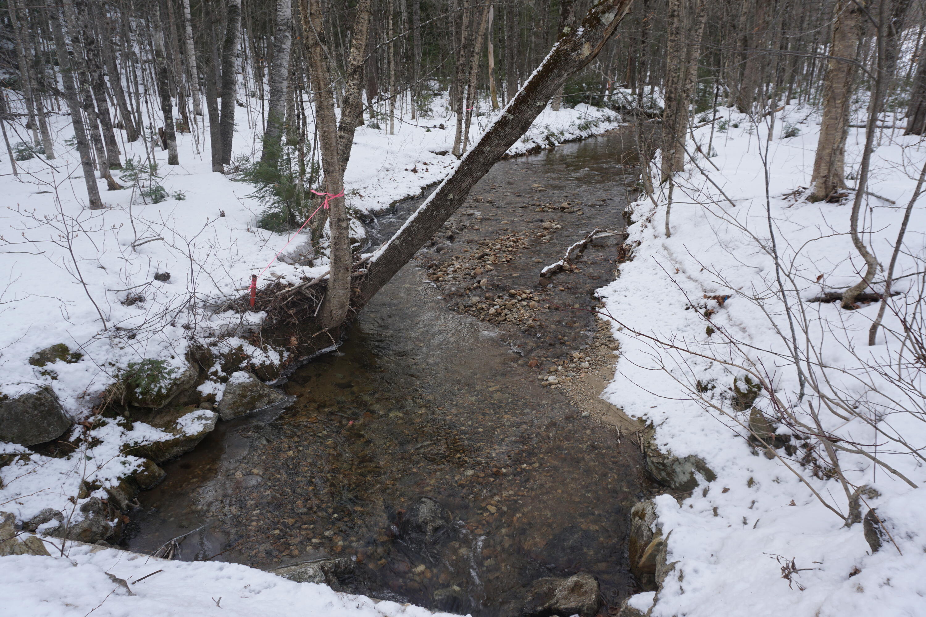 M13L18A-1 Redding Road Woodstock ME 04219