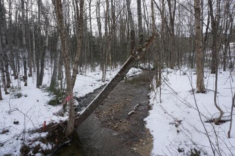 M13L18A-1 Redding Road Woodstock ME 04219