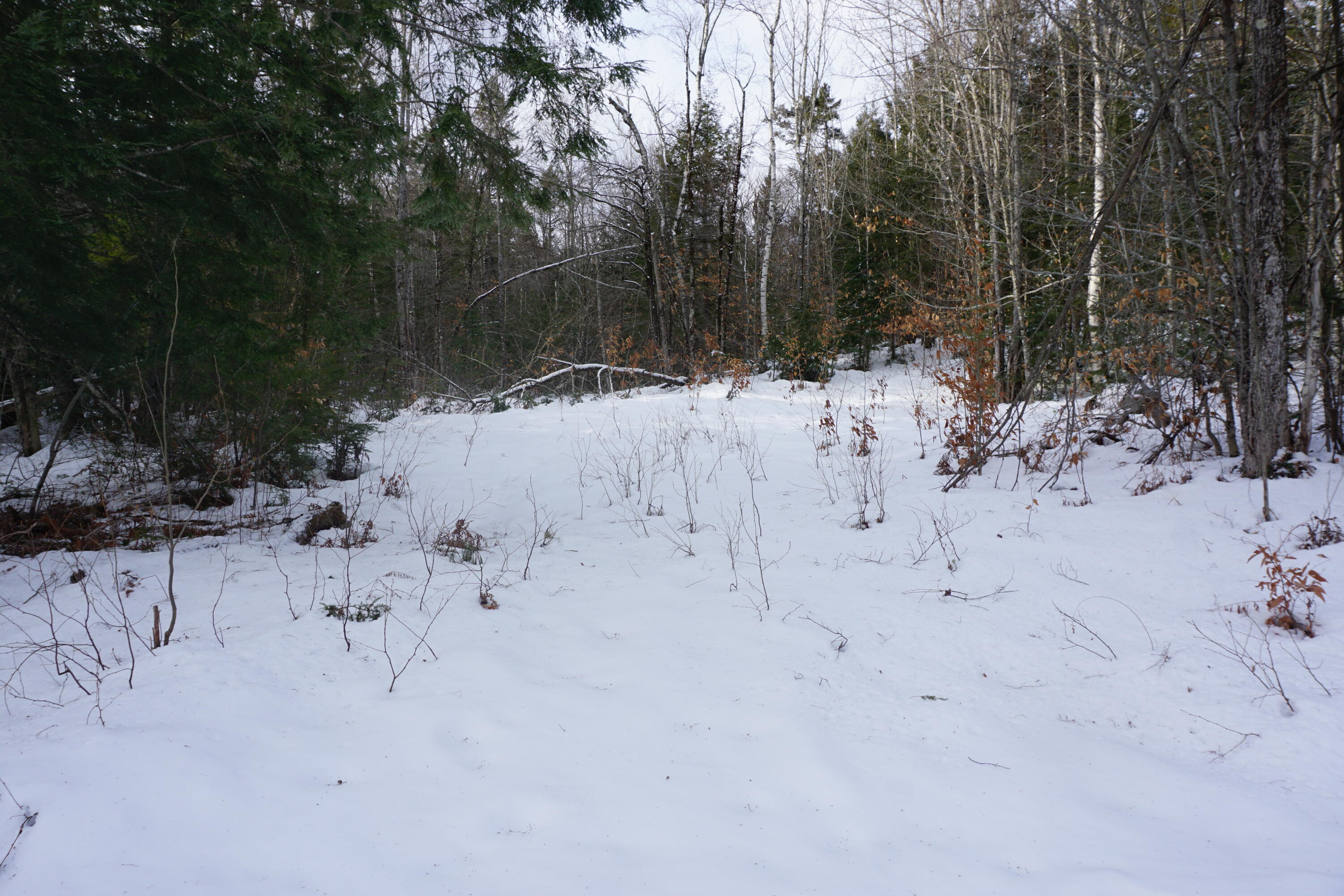 M13L18A-1 Redding Road Woodstock ME 04219