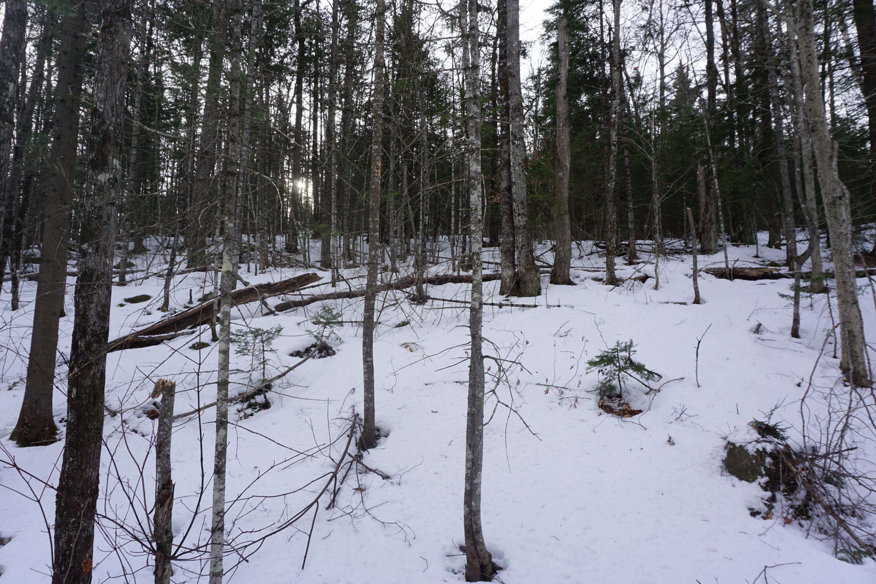 M13L18A-1 Redding Road Woodstock ME 04219