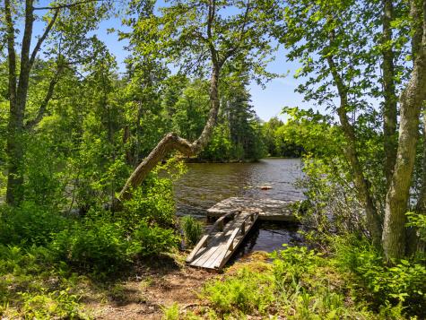 Part Of Map 26 Lot 46 & 48 Mullins Bog Road Lincolnville ME 04849