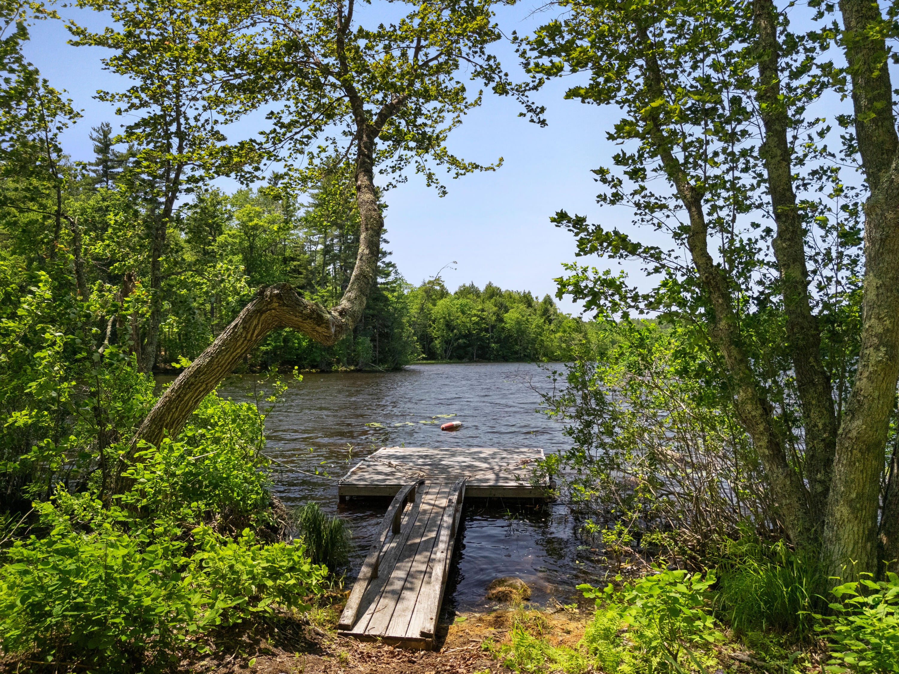 Part Of Map 26 Lot 46 & 48 Mullins Bog Road Lincolnville ME 04849