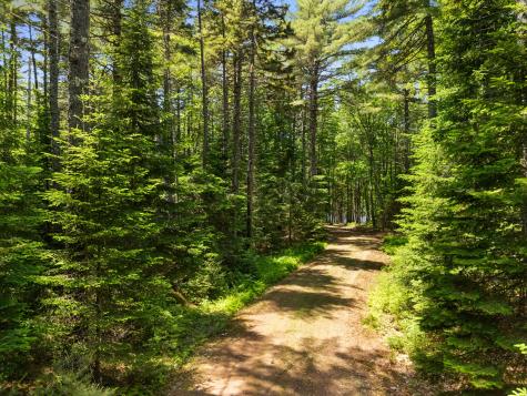 Part Of Map 26 Lot 46 & 48 Mullins Bog Road Lincolnville ME 04849