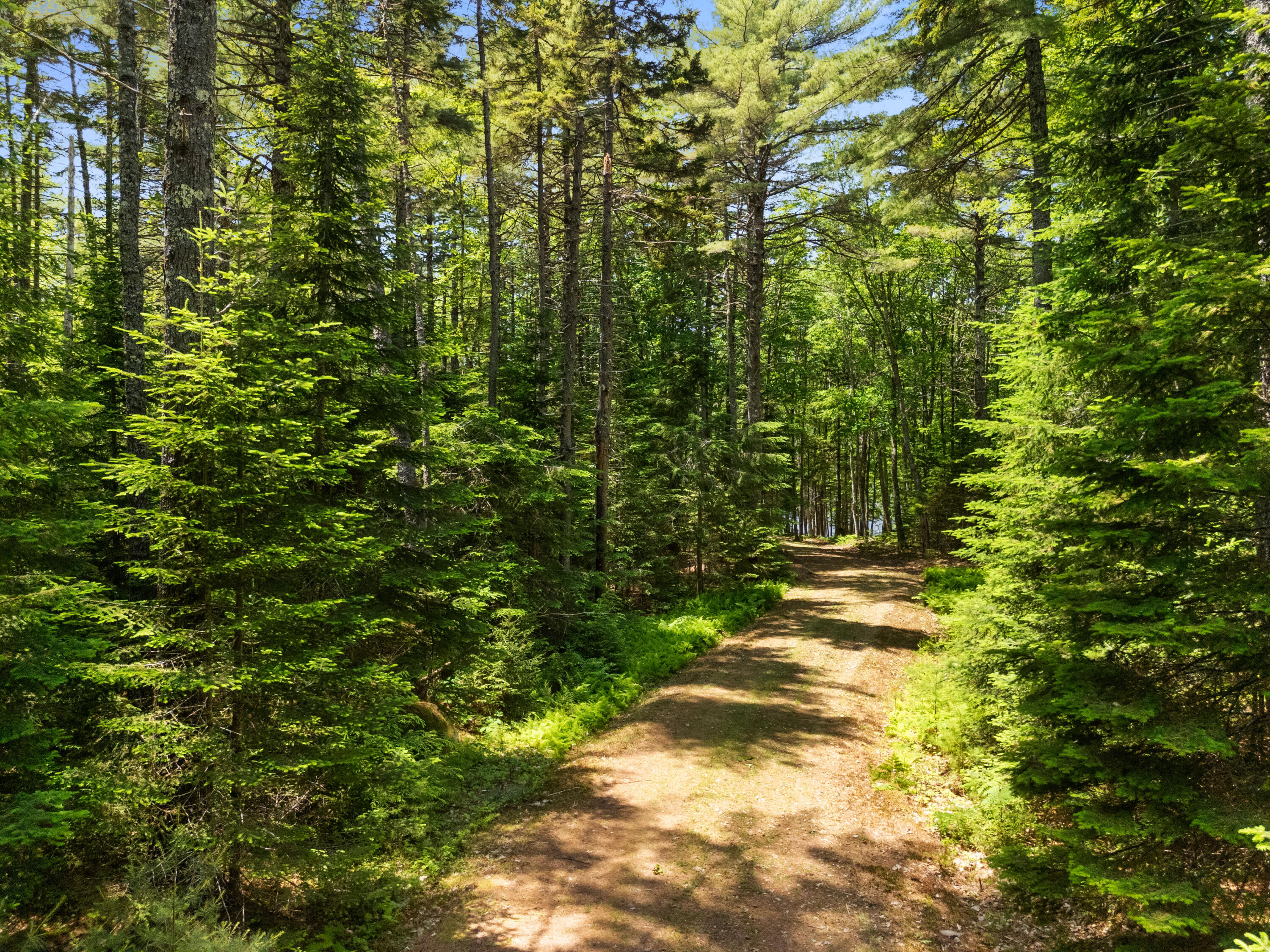 Part Of Map 26 Lot 46 & 48 Mullins Bog Road Lincolnville ME 04849