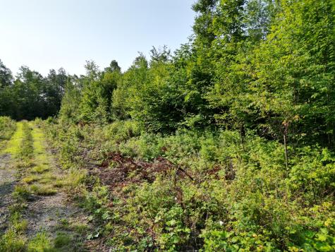 Lot 13 West Road Springfield ME 04487