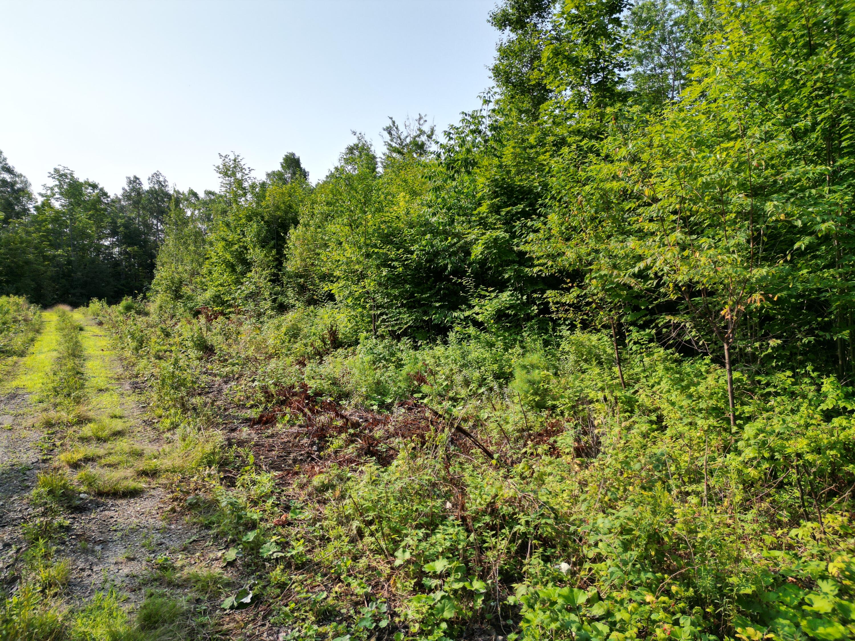 Lot 13 West Road Springfield ME 04487