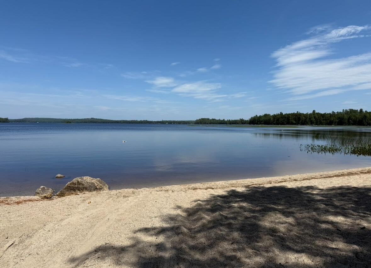 Lot 23 Webb Pond Road Road Eastbrook ME 04634