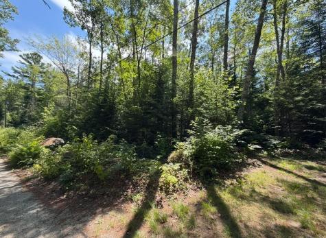 Lot 23 Webb Pond Road Road Eastbrook ME 04634
