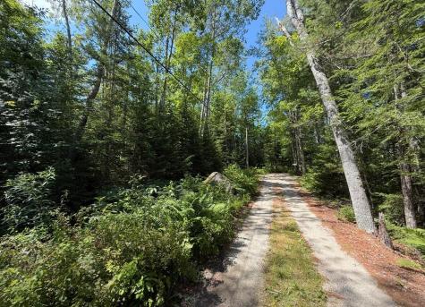 Lot 23 Webb Pond Road Road Eastbrook ME 04634