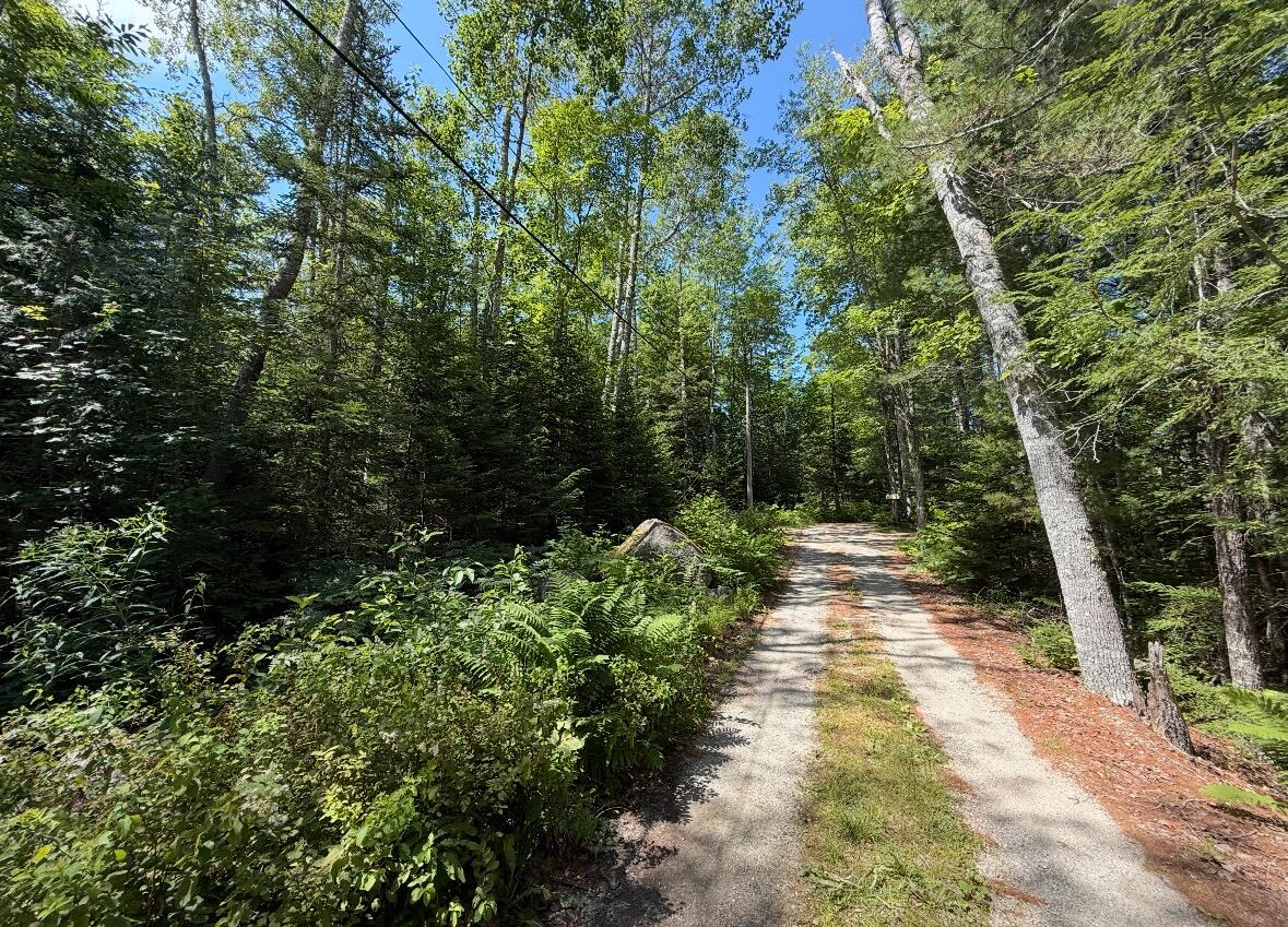 Lot 23 Webb Pond Road Road Eastbrook ME 04634