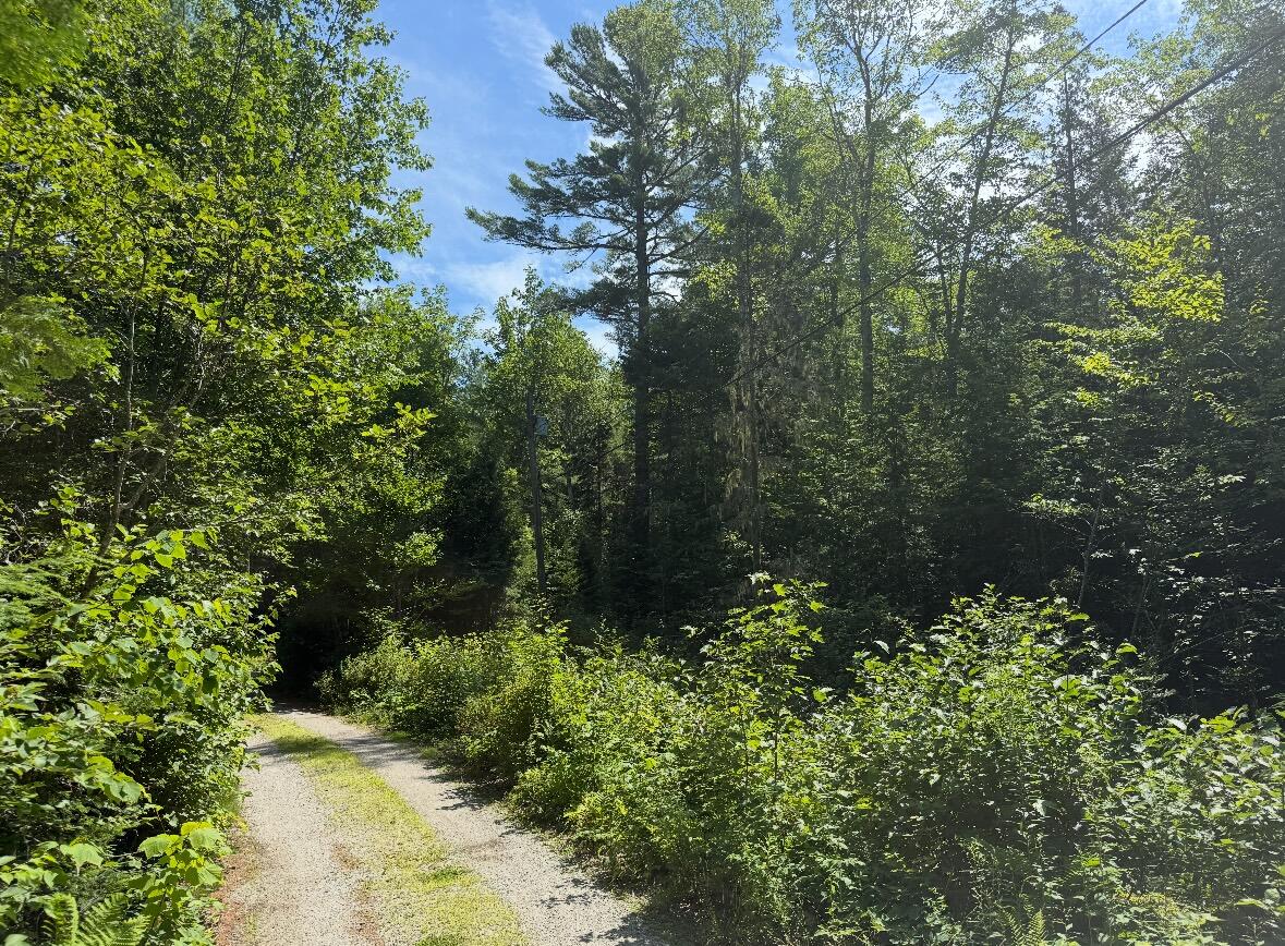 Lot 23 Webb Pond Road Road Eastbrook ME 04634