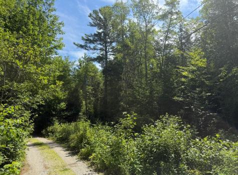Lot 23 Webb Pond Road Road Eastbrook ME 04634