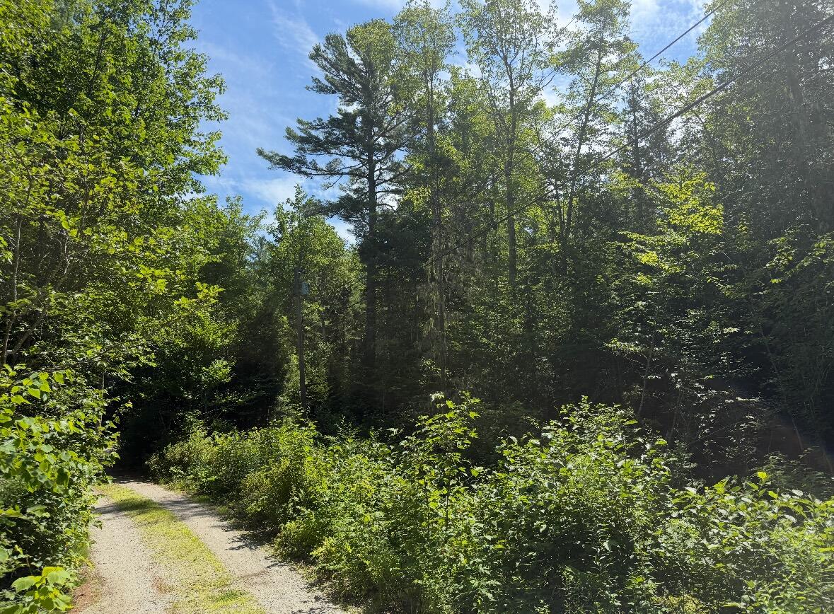 Lot 23 Webb Pond Road Road Eastbrook ME 04634
