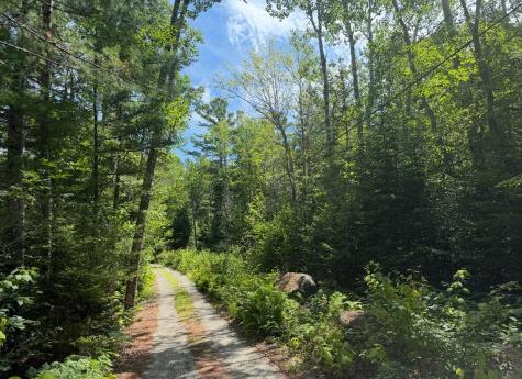 Lot 23 Webb Pond Road Road Eastbrook ME 04634