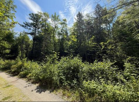 Lot 23 Webb Pond Road Road Eastbrook ME 04634