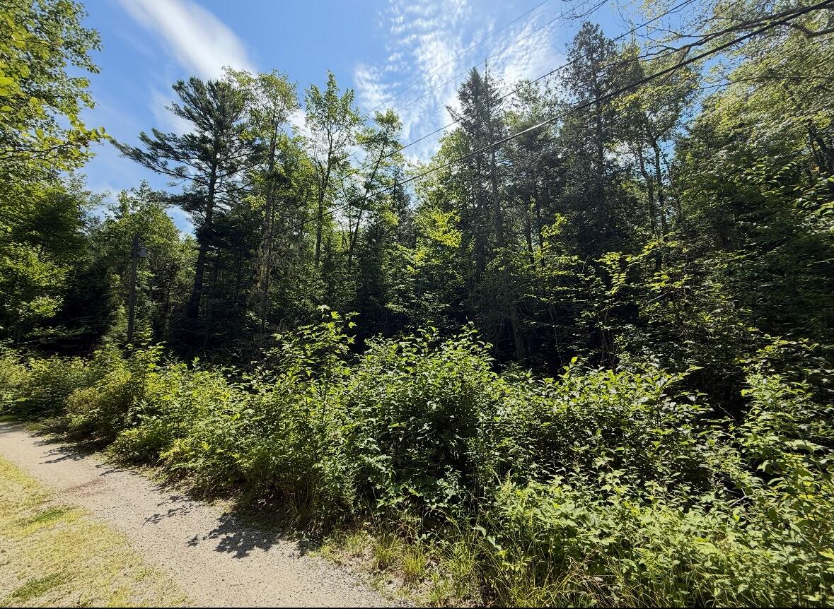 Lot 23 Webb Pond Road Road Eastbrook ME 04634