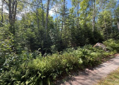 Lot 23 Webb Pond Road Road Eastbrook ME 04634