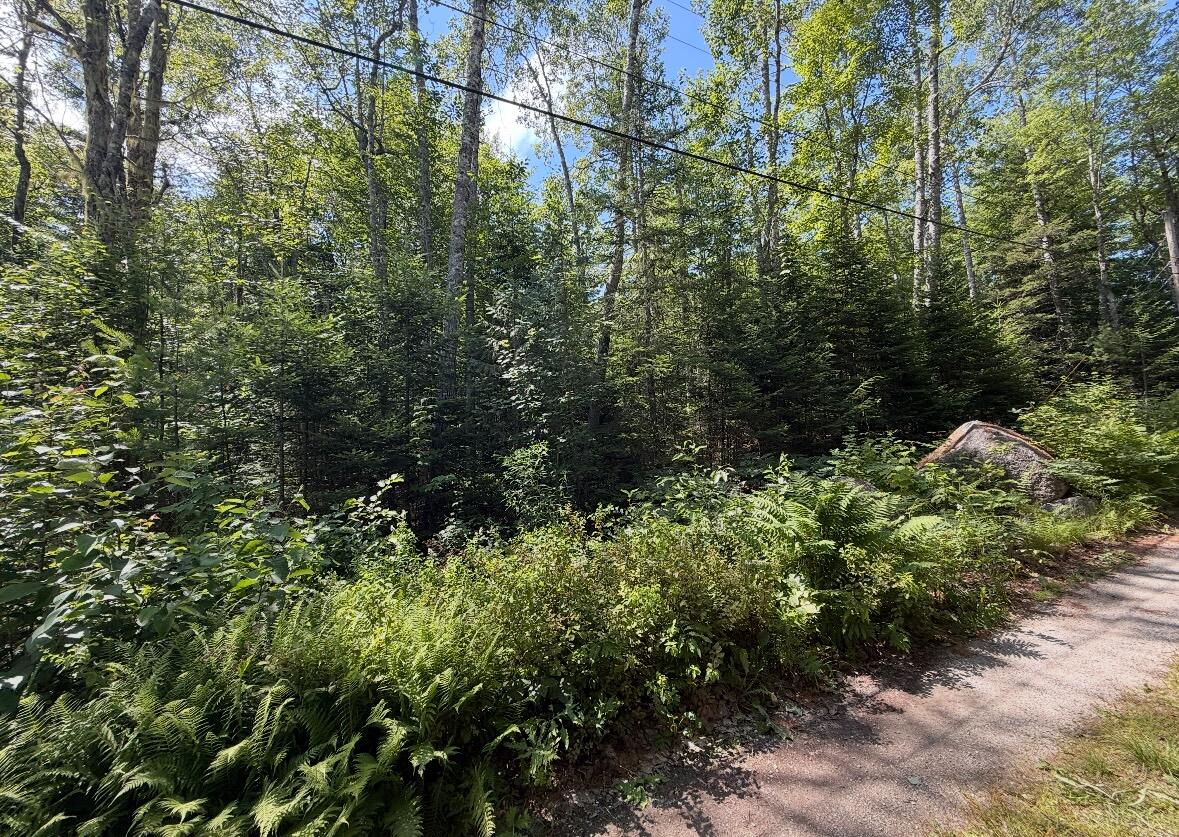 Lot 23 Webb Pond Road Road Eastbrook ME 04634