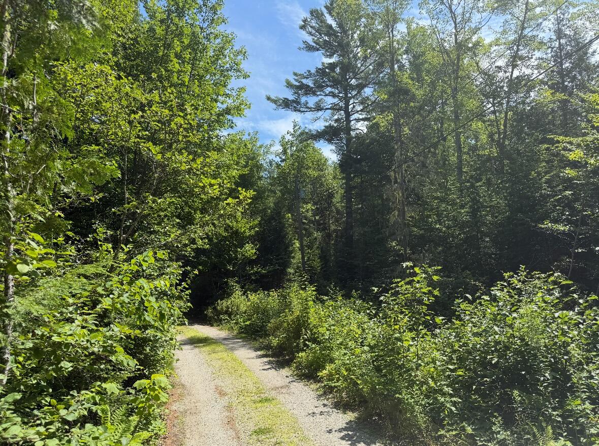Lot 23 Webb Pond Road Road Eastbrook ME 04634