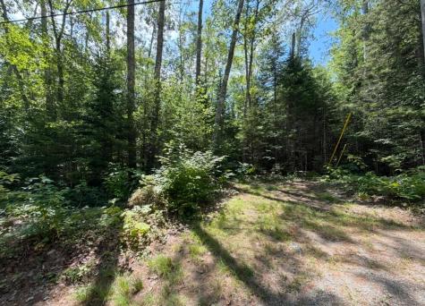 Lot 23 Webb Pond Road Road Eastbrook ME 04634