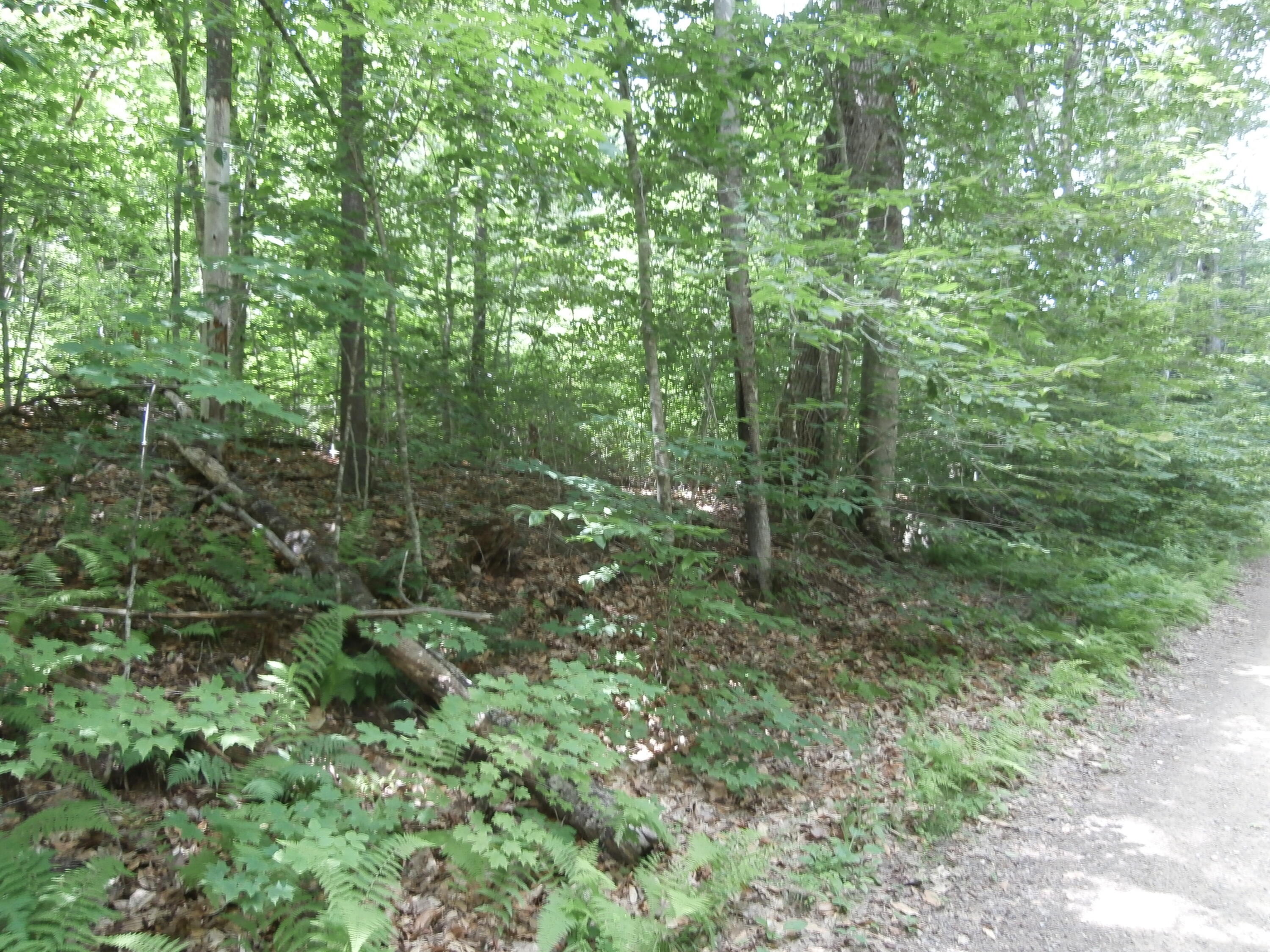 Lot 005 Hebo Hybo Road Acton ME 04001
