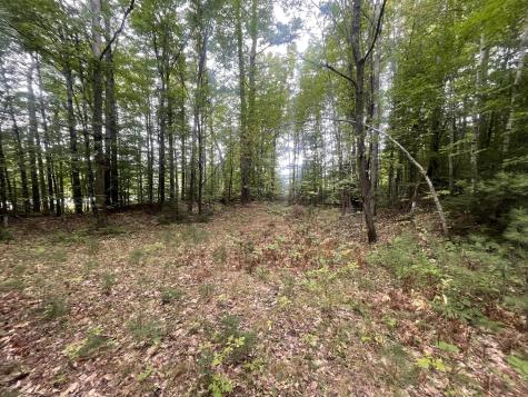 R6L38B New Vineyard Road New Vineyard ME 04956