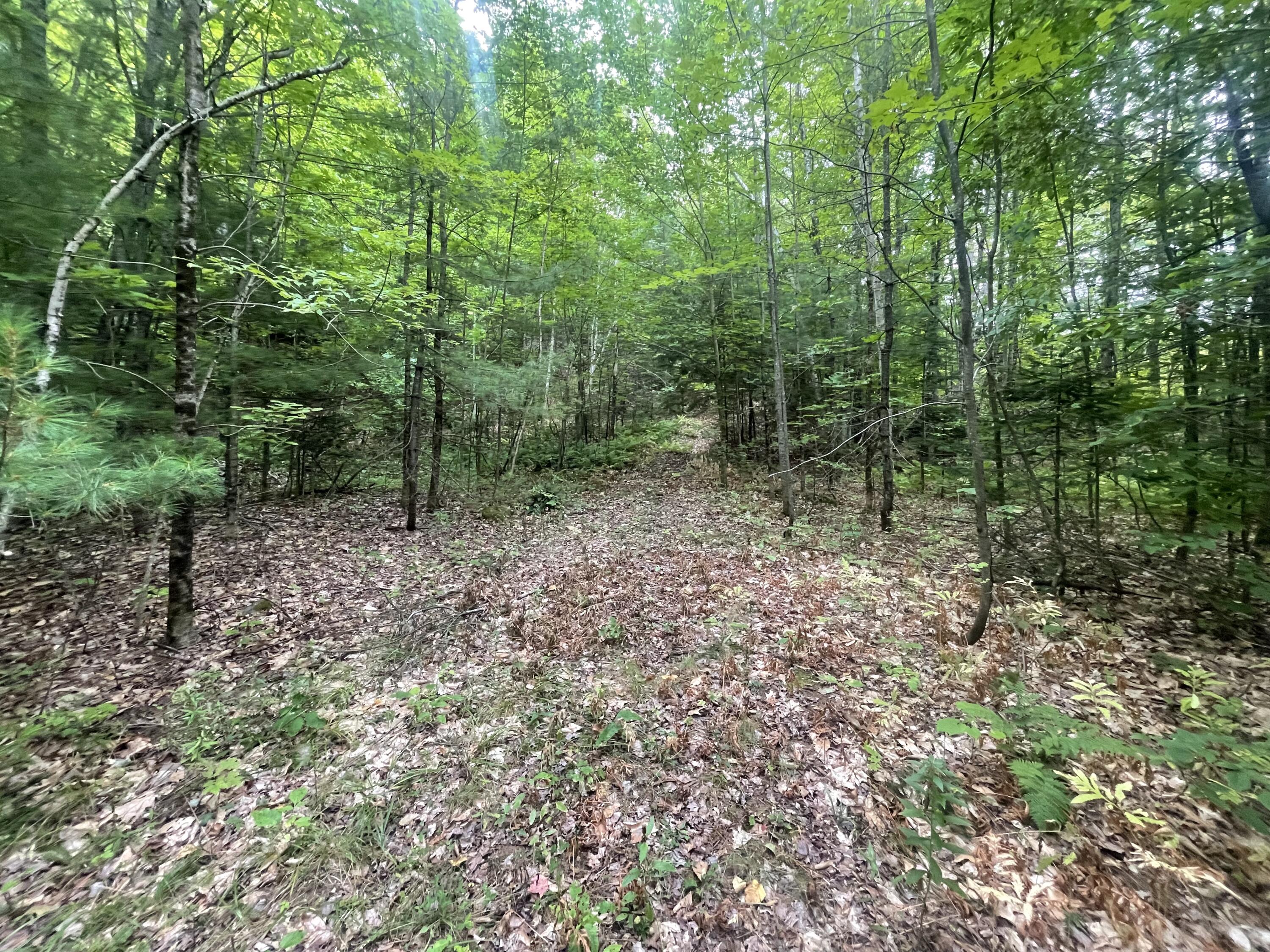 R6L38B New Vineyard Road New Vineyard ME 04956