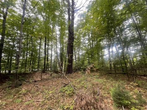 R6L38B New Vineyard Road New Vineyard ME 04956