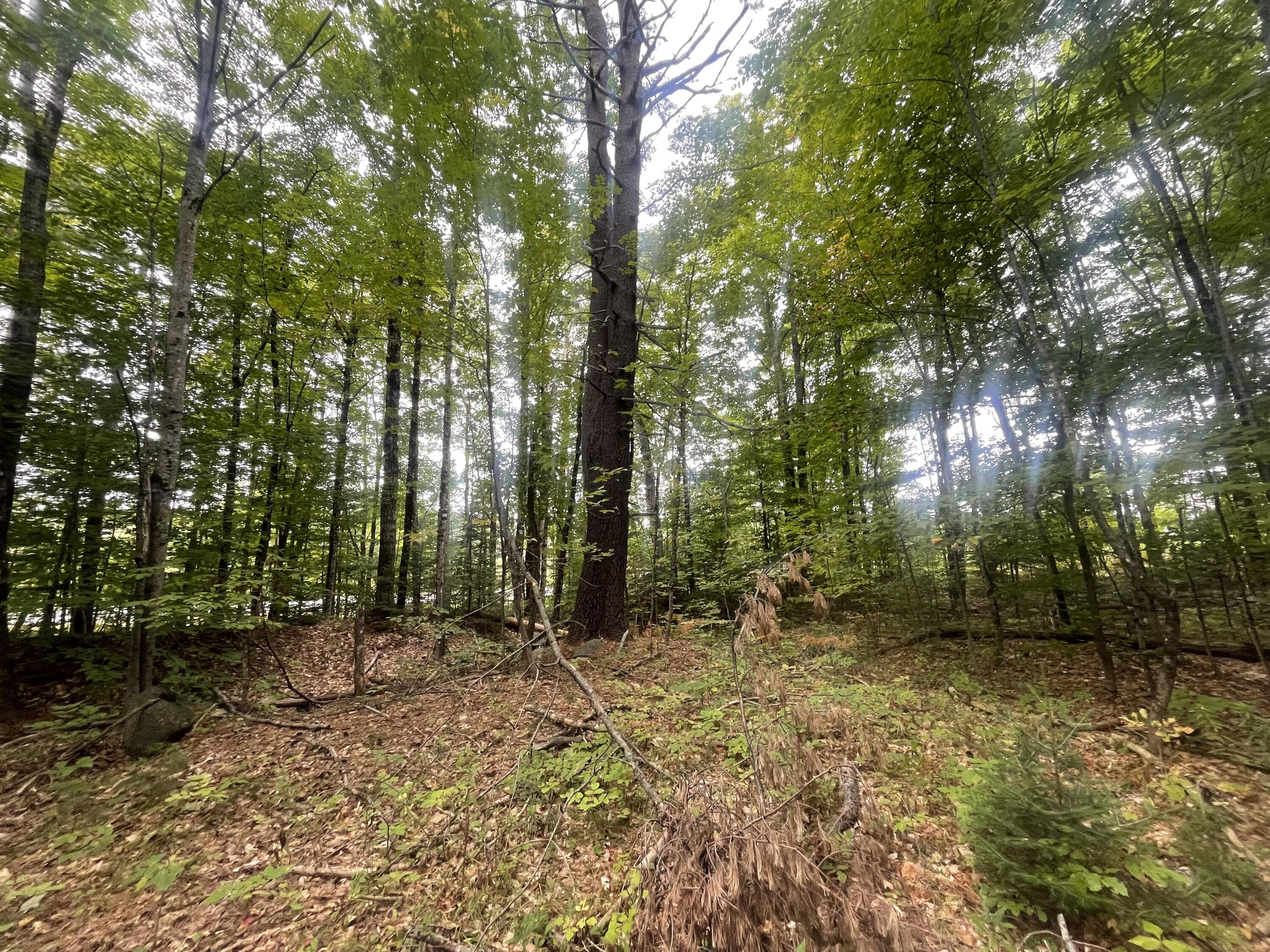 R6L38B New Vineyard Road New Vineyard ME 04956